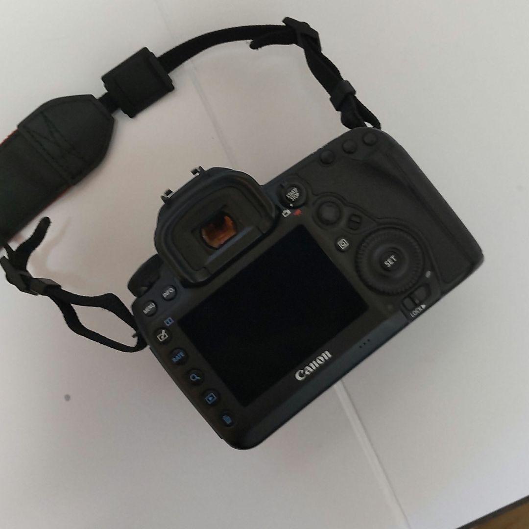 Canon EOS 5D Mark IV シャッター数 26479回