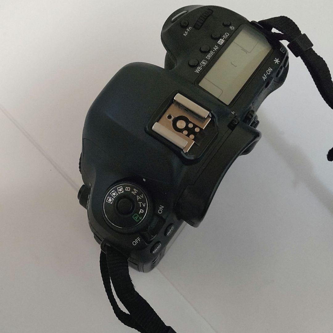 Canon EOS 5D Mark IV シャッター数 26479回