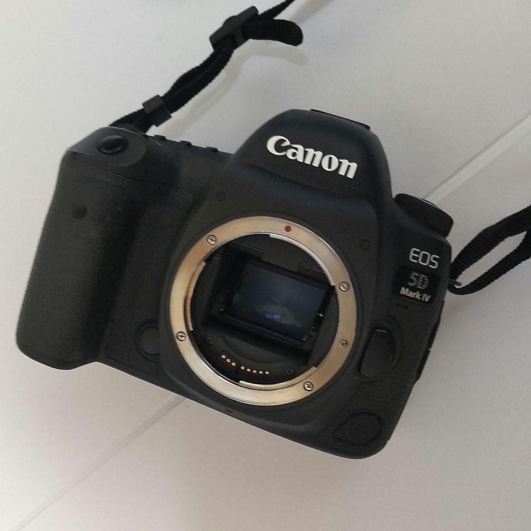 Canon EOS 5D Mark IV シャッター数 26479回
