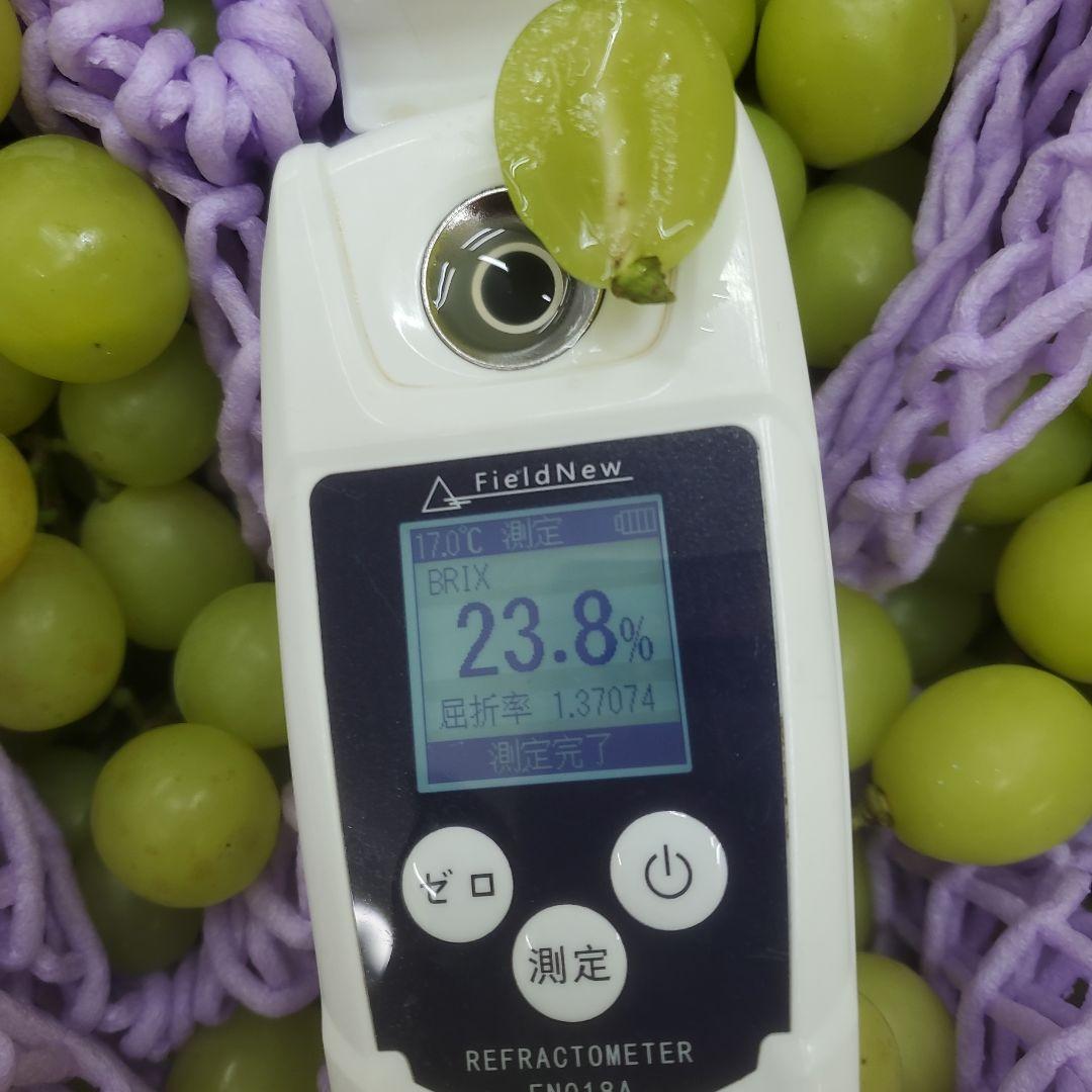 4️⃣ 山梨県産 シャインマスカット １３房 箱込み5.4キロ