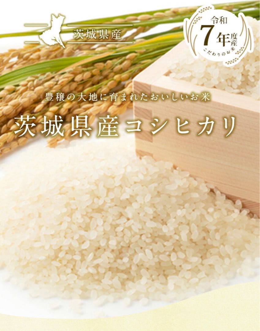 茨城県産 コシヒカリ 令和7年産