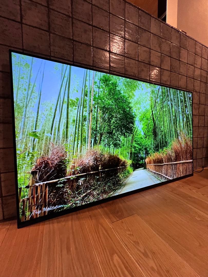 ムギムギ SONY BRAVIA 2023年製 XRJ-65A80L