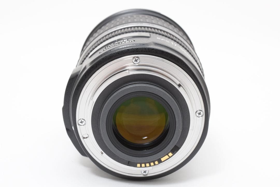 難あり キヤノン EF-S 17-55mm F2.8 IS USM #20923