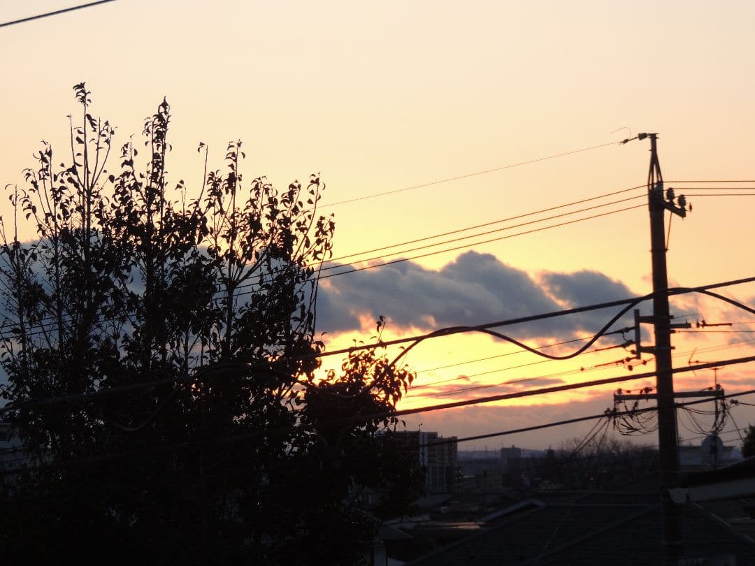 【動作品】光学42倍 Nikon COOLPIX P510 元箱、バッテリー３個