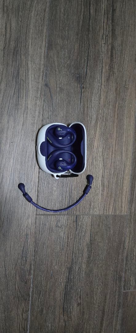 【美品】Anker Soundcore AeroFit Pro バンド付