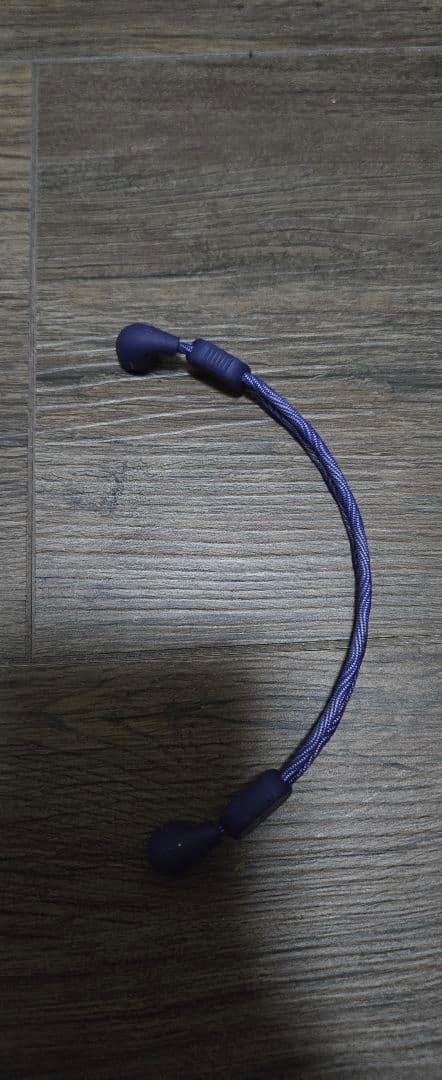 【美品】Anker Soundcore AeroFit Pro バンド付