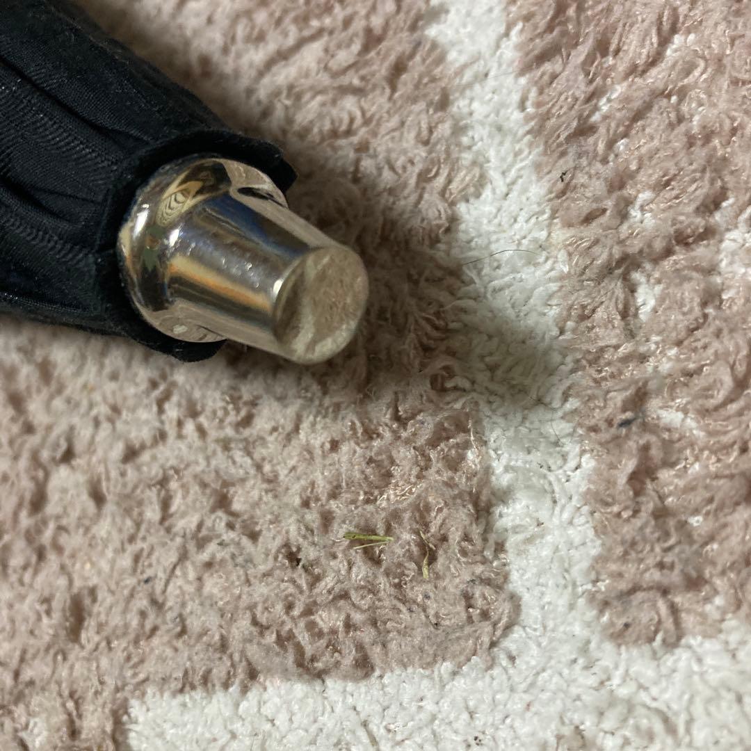 BURBERRY チェック柄　日傘