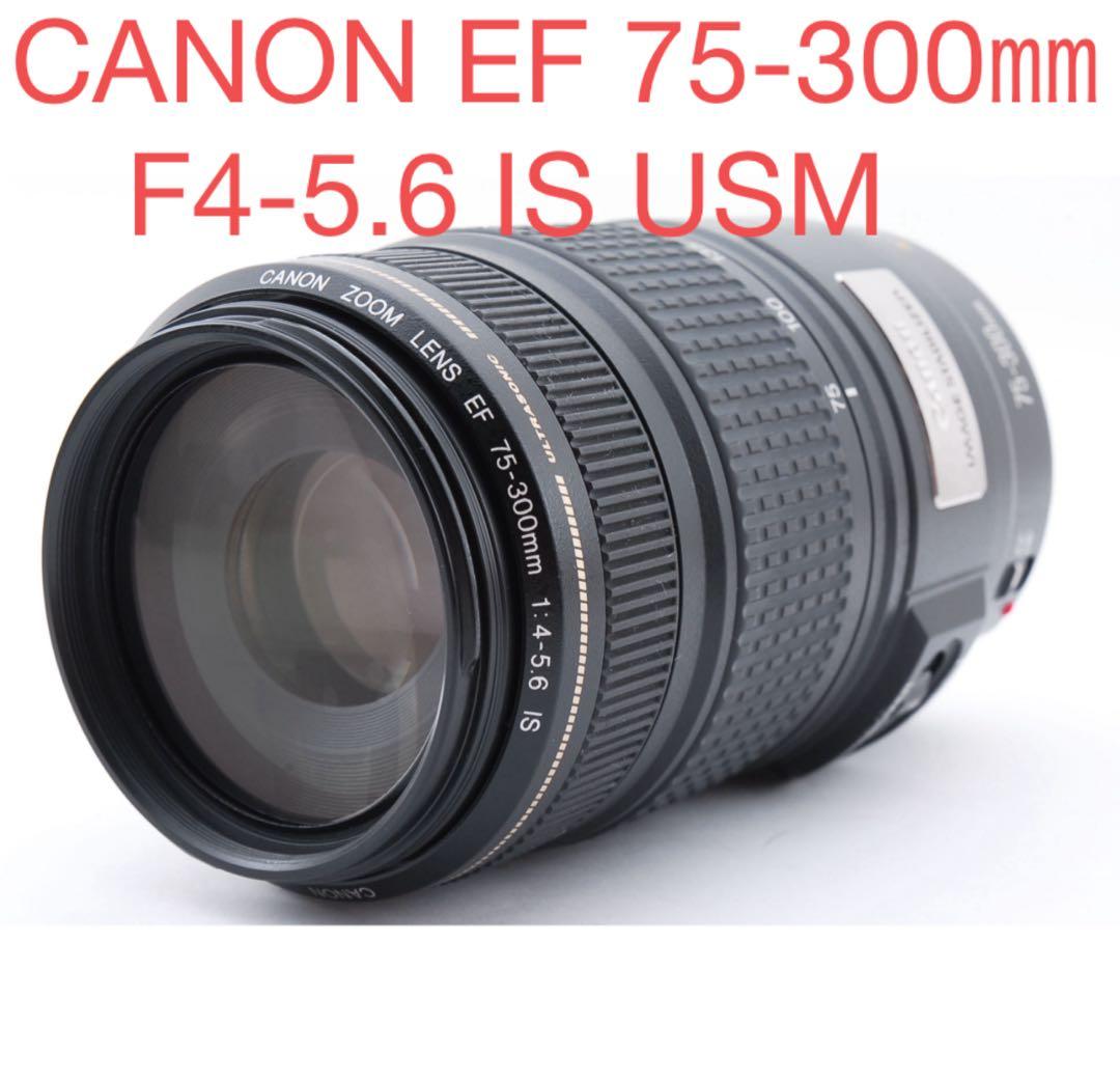 美品　手ブレ補正搭載/CANON EF 75-300㎜F4-5.6 IS USM