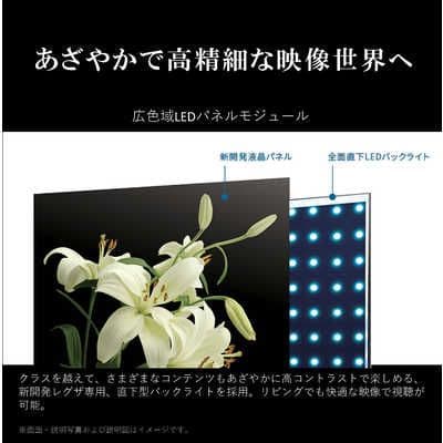 液晶テレビ 全国配送無料 2024年 50V型 50M550M REGZA