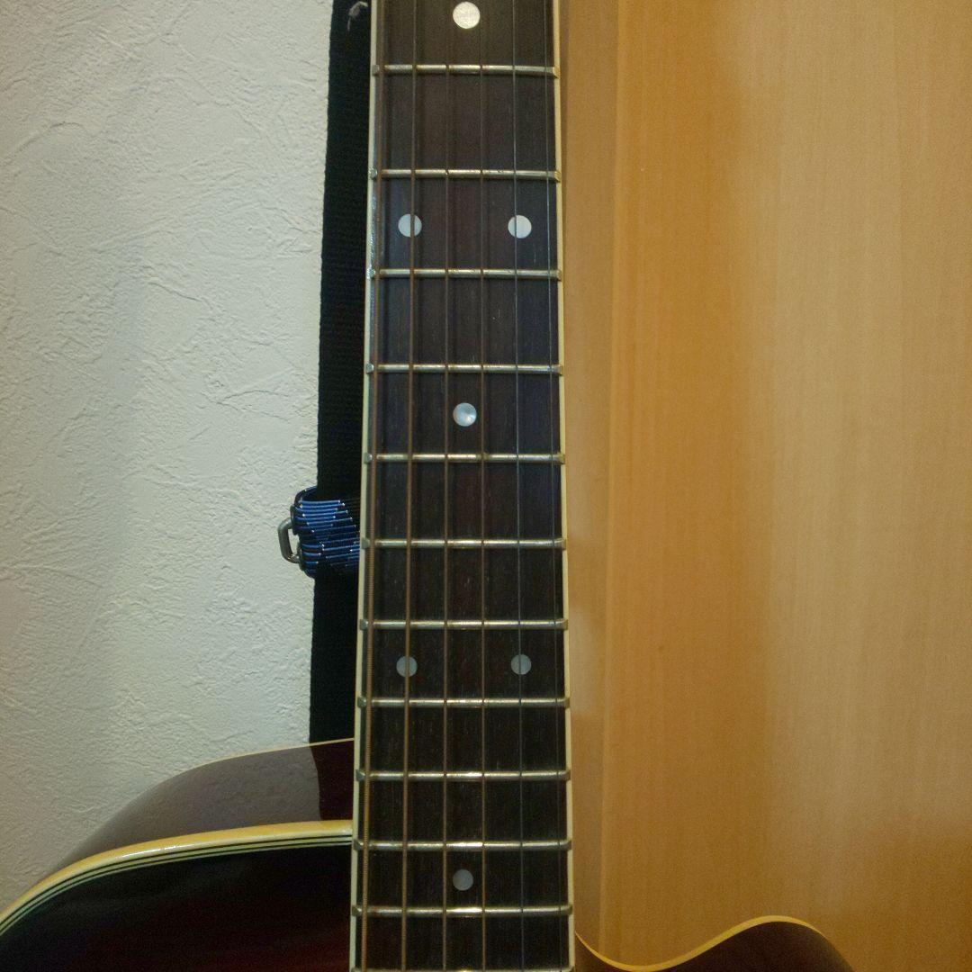 promartin ea500w vs エレアコ　ギター