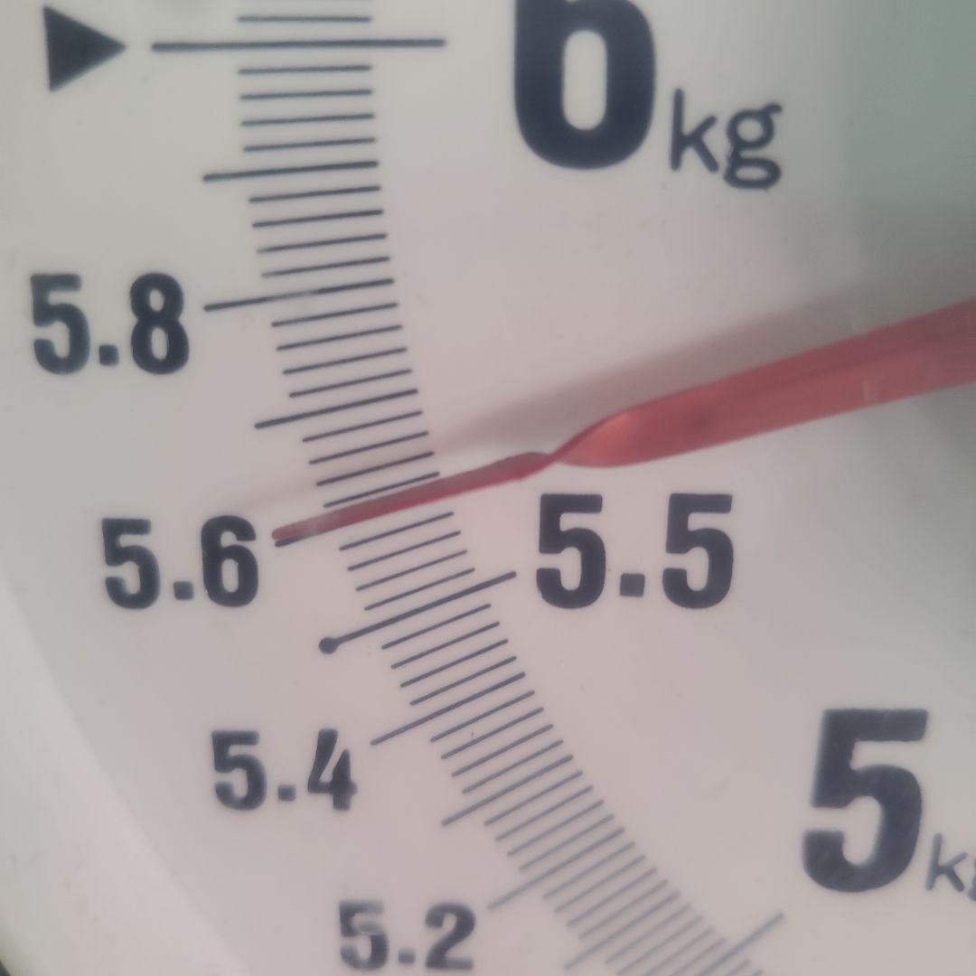 1⃣ 山梨県産 シャインマスカット ９房入り 箱込み5.6キロ