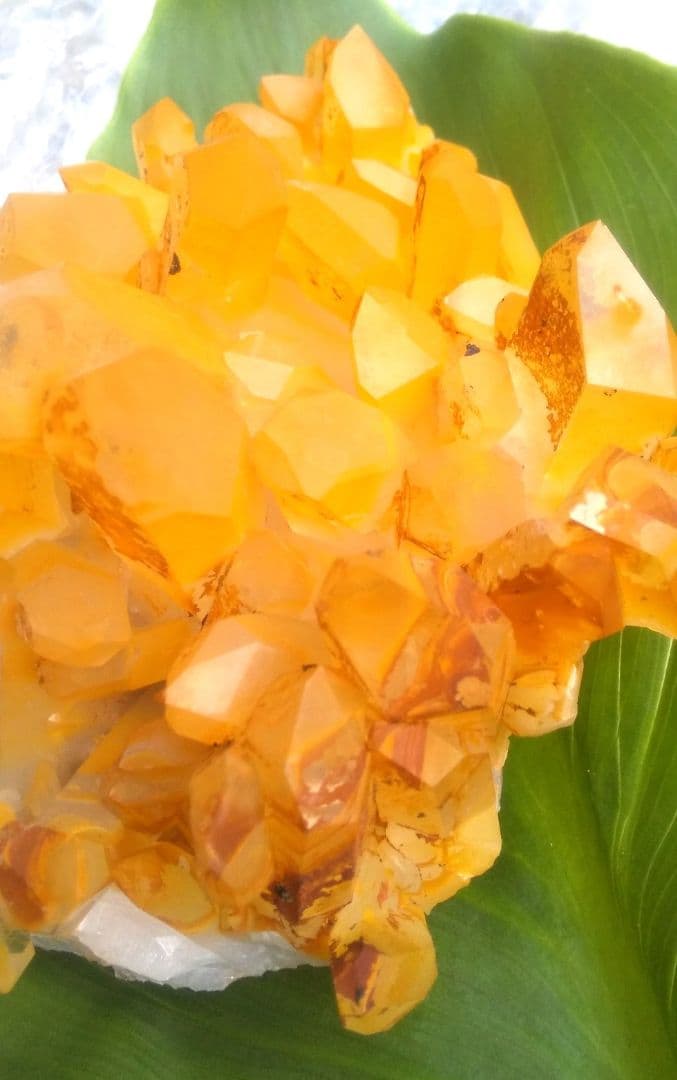 超希少 ゴールデンヒーラー クラスター ギャランティカード付き