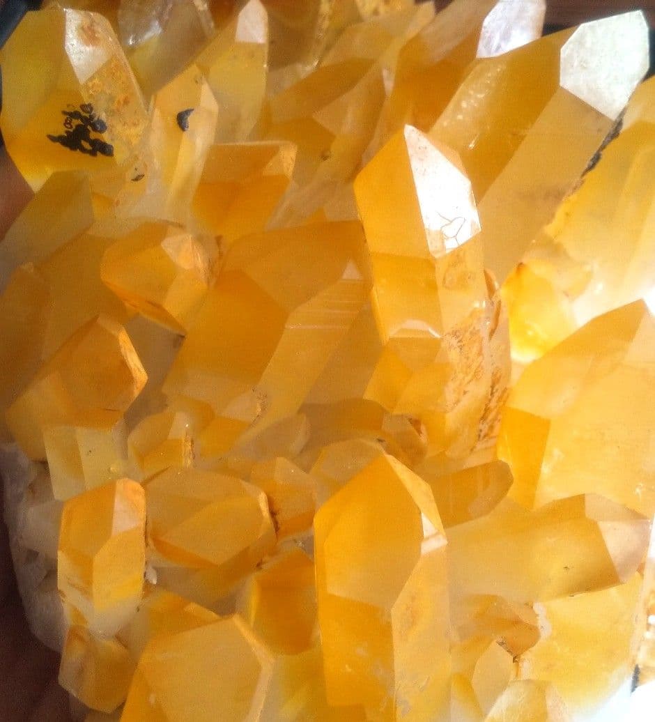 超希少 ゴールデンヒーラー クラスター ギャランティカード付き