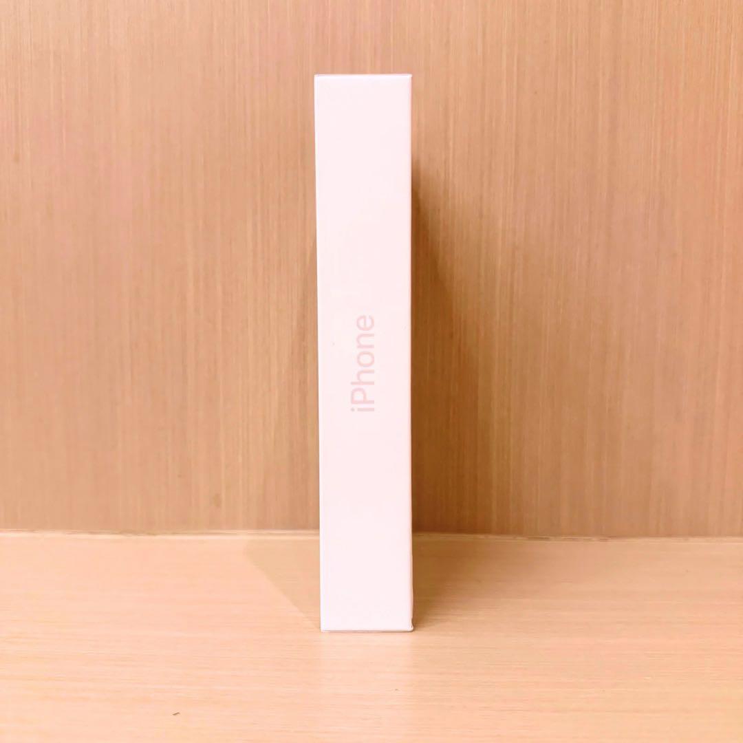 iPhone17 Pro 512GB シルバー　未開封 物理SIM対応 海外版