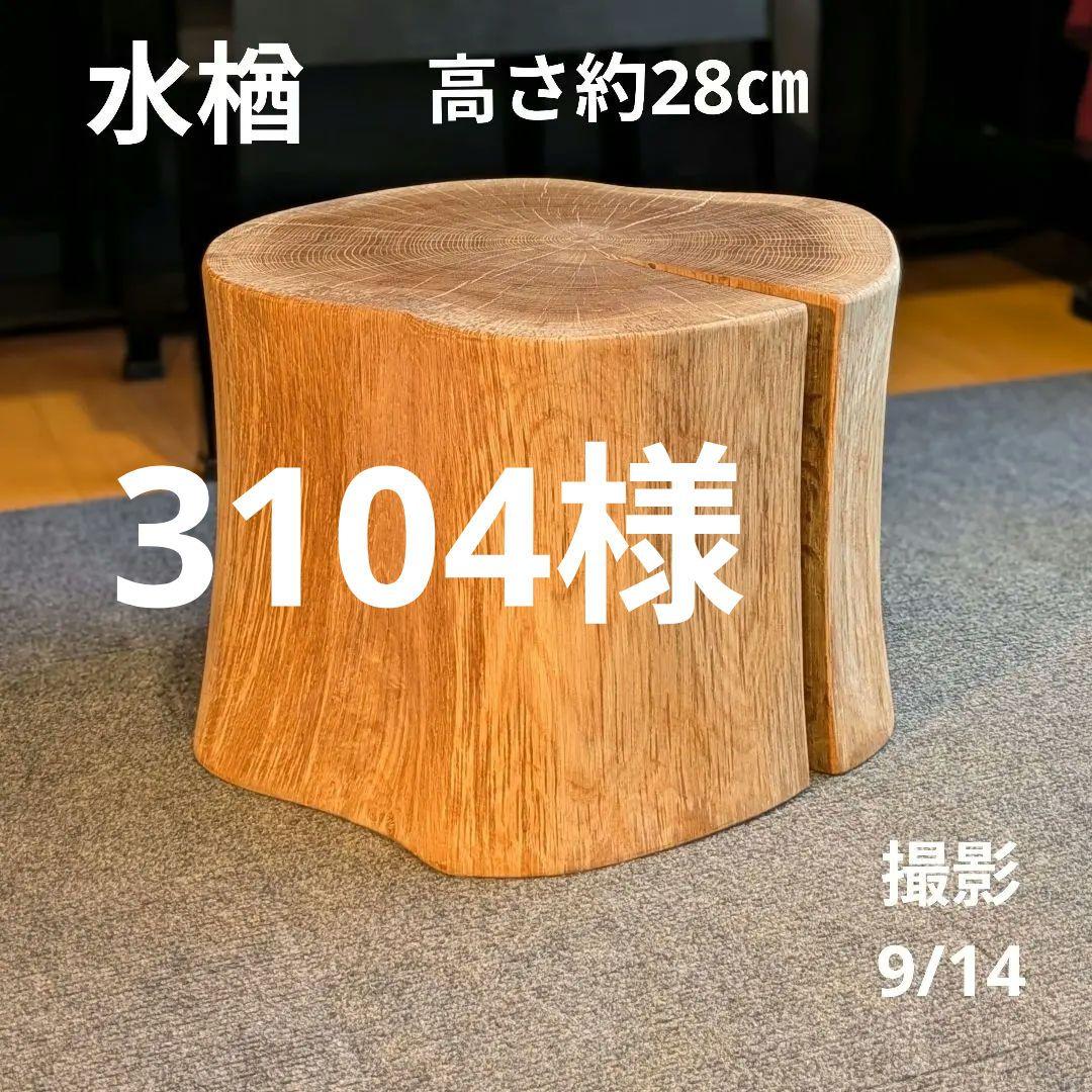 3104　　ミズナラ　水楢　天然木　切り株　丸太　輪切り　高さ約28㎝