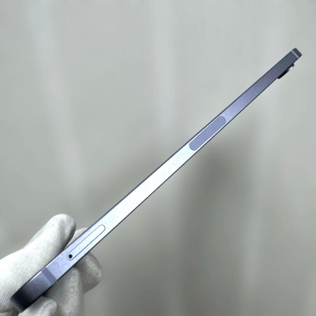 iPad mini6 256GB セルラー バッテリー91% シムフリー