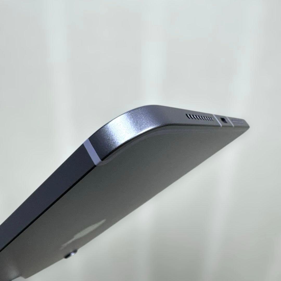 iPad mini6 256GB セルラー バッテリー91% シムフリー