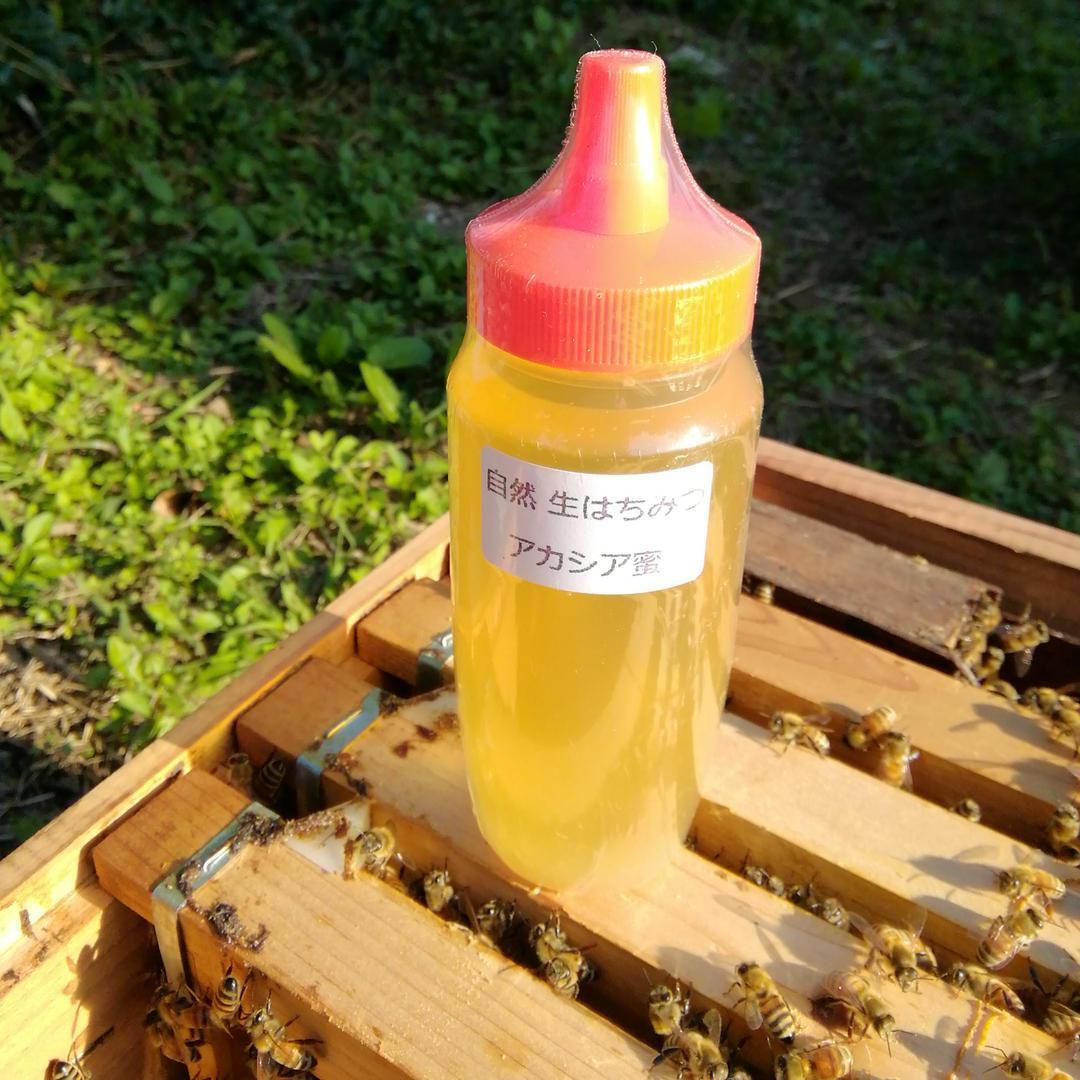 ✡️アカシア蜜１０本　生はちみつ　自家製蜂蜜