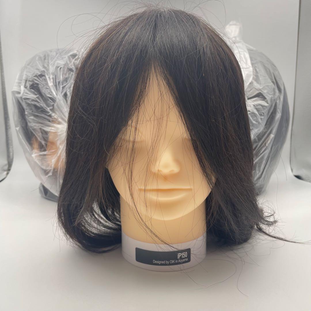 カットウィッグ　カットマネキン　ip150 新品未使用