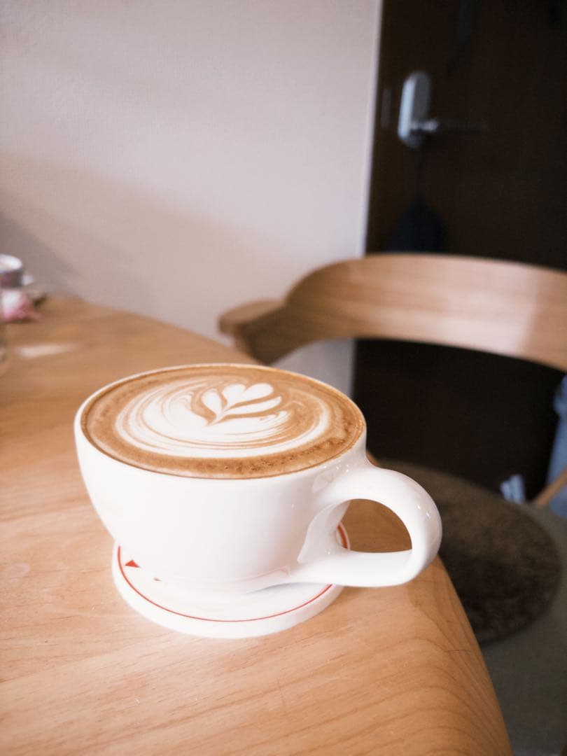 Delonghi（デロンギ） スティローザ ラテアート用備品付き