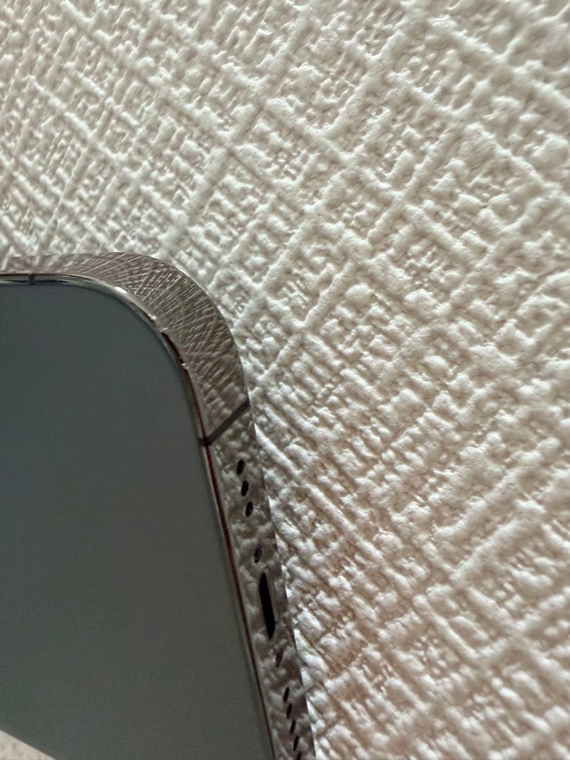 Apple iPhone 13 Pro グラファイト 本体 充電ケーブル付き