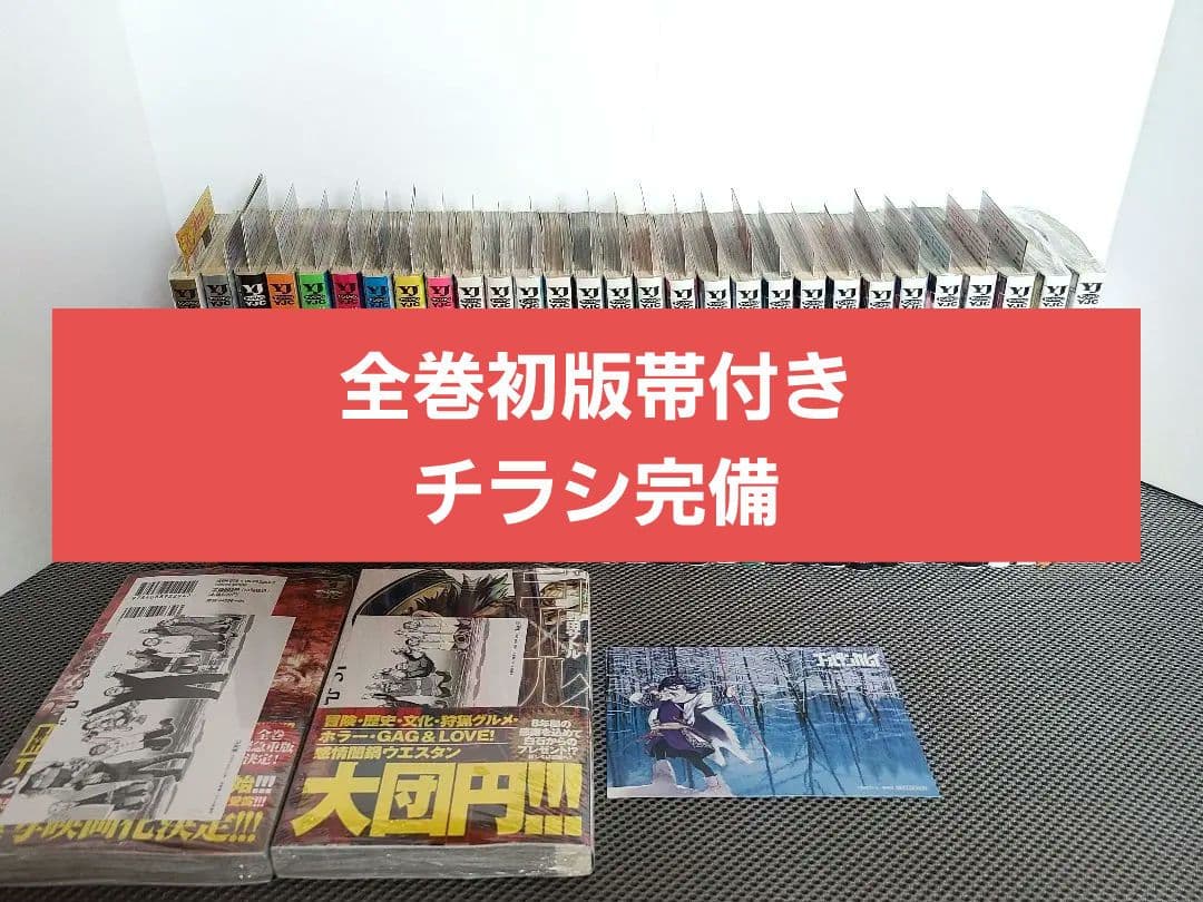 ゴールデンカムイ　初版　チラシ完備　未開封有り　特典付き