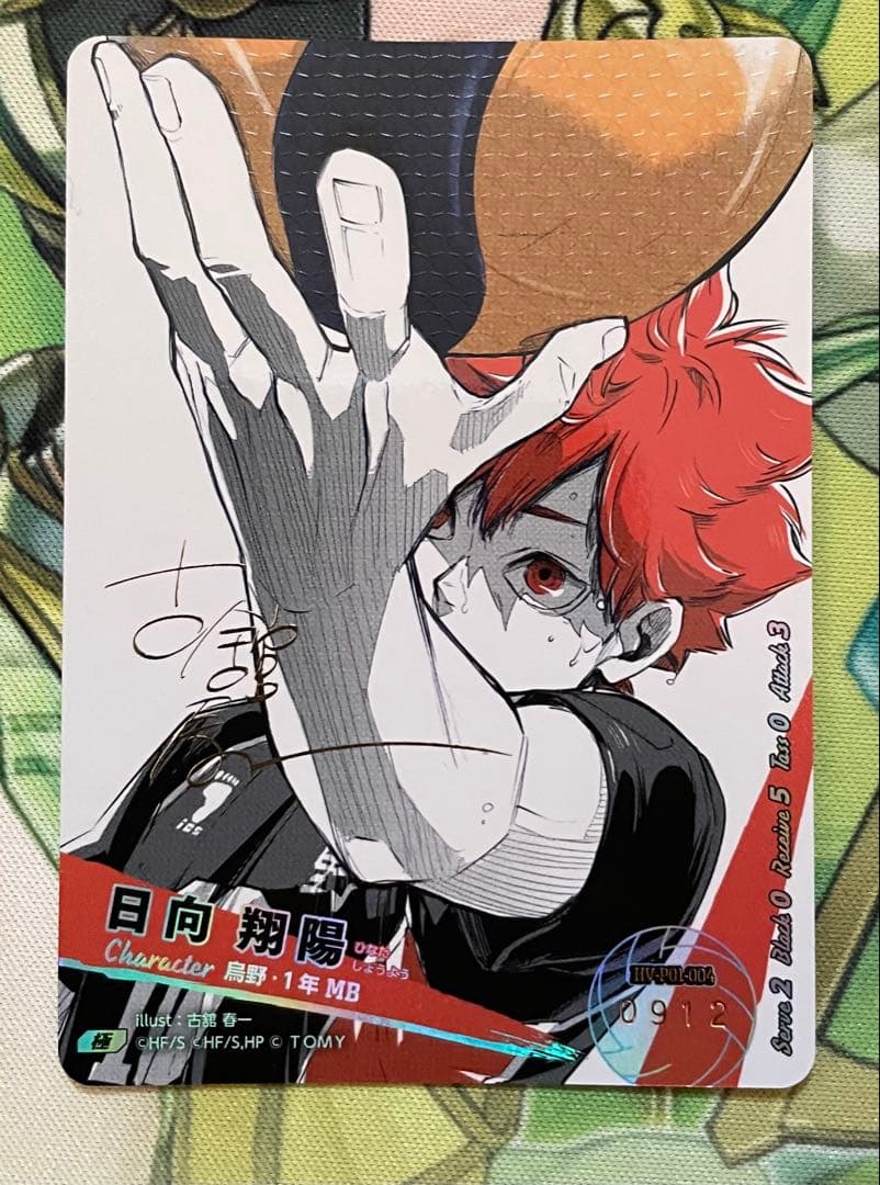 日向翔陽 極 バボカ