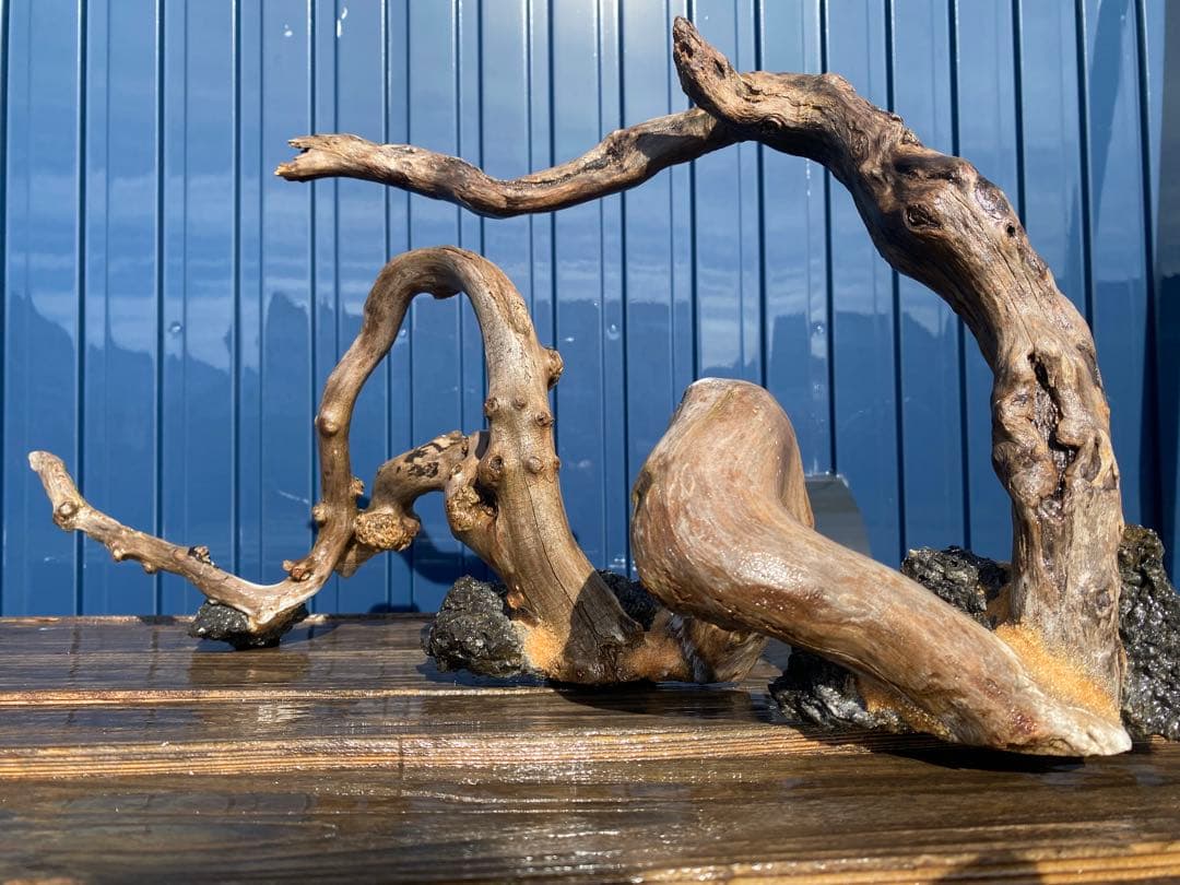 流木レイアウト A863