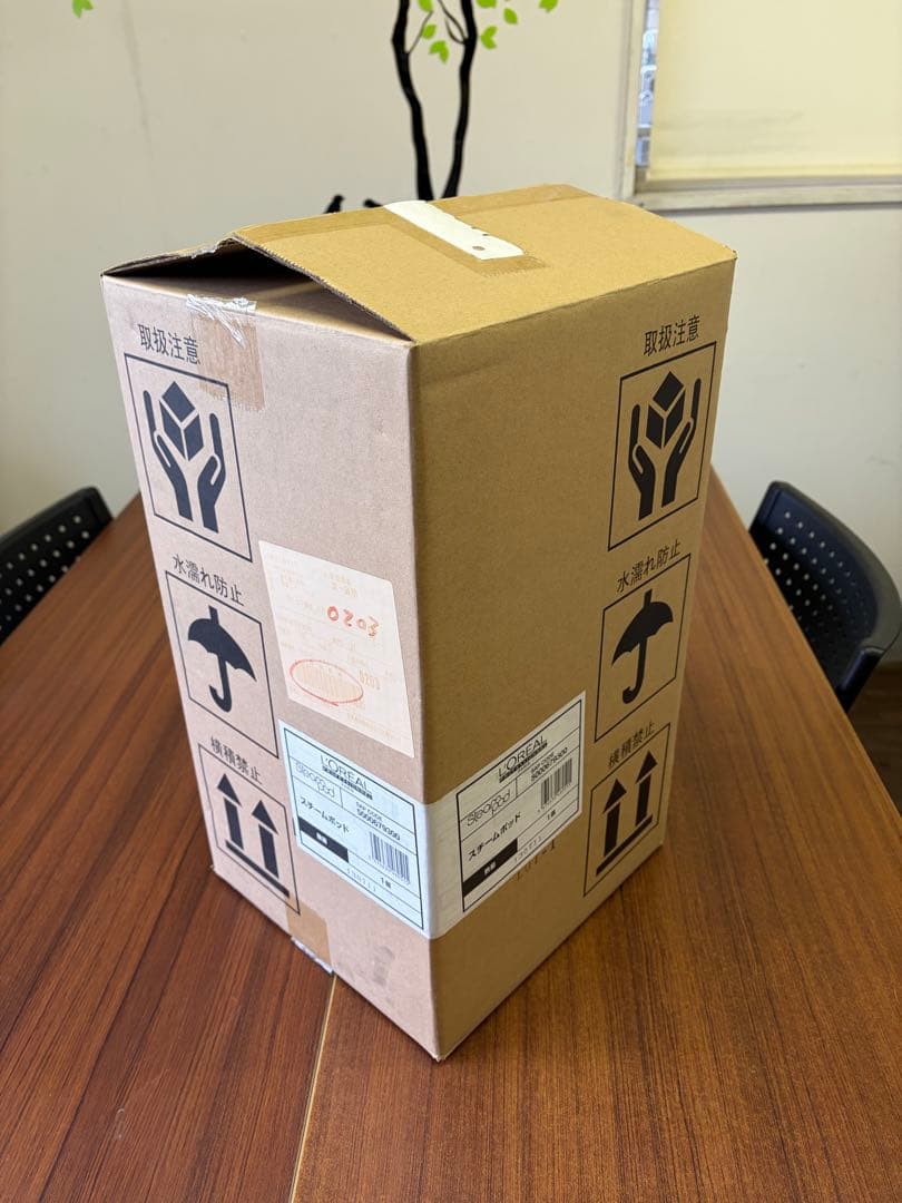 「新品未使用」ロレアルスチームポッド￼ スチームアイロン　送料無料