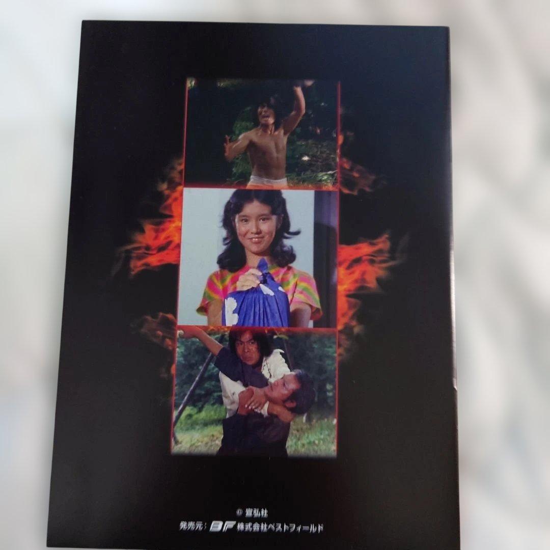 闘え!ドラゴン DVD-BOX