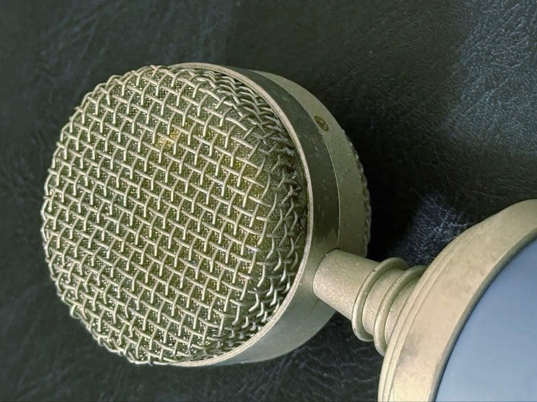 田舎の社畜　レア 完動 BlueMicrophones BlueBird