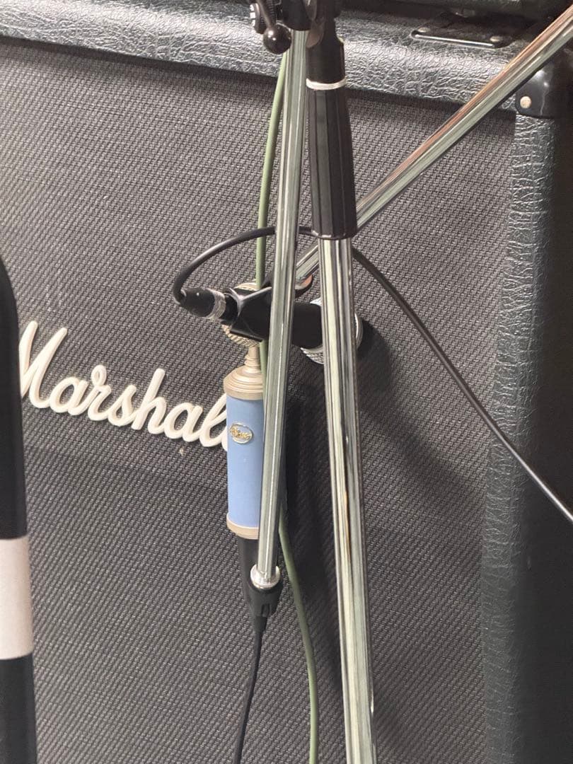 田舎の社畜　レア 完動 BlueMicrophones BlueBird