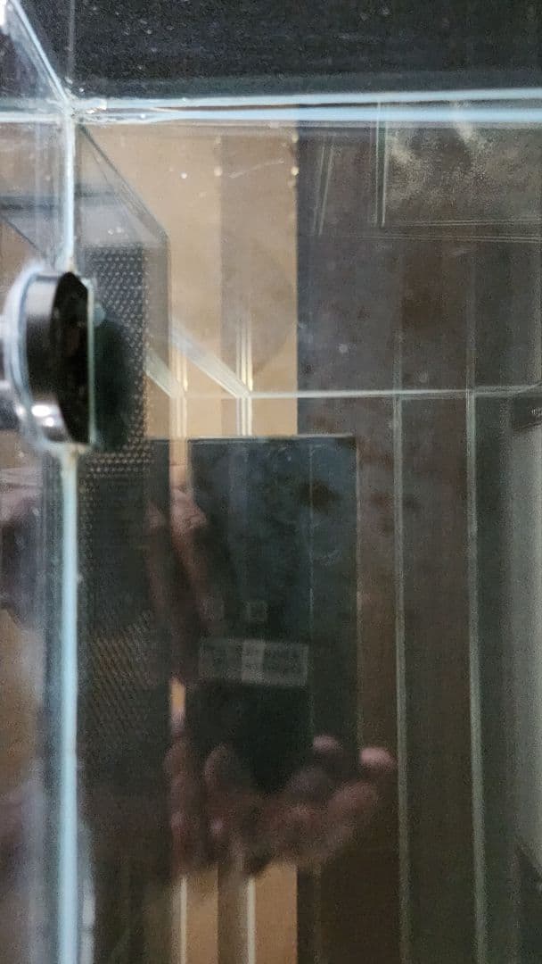 Rainforest 600×300×450