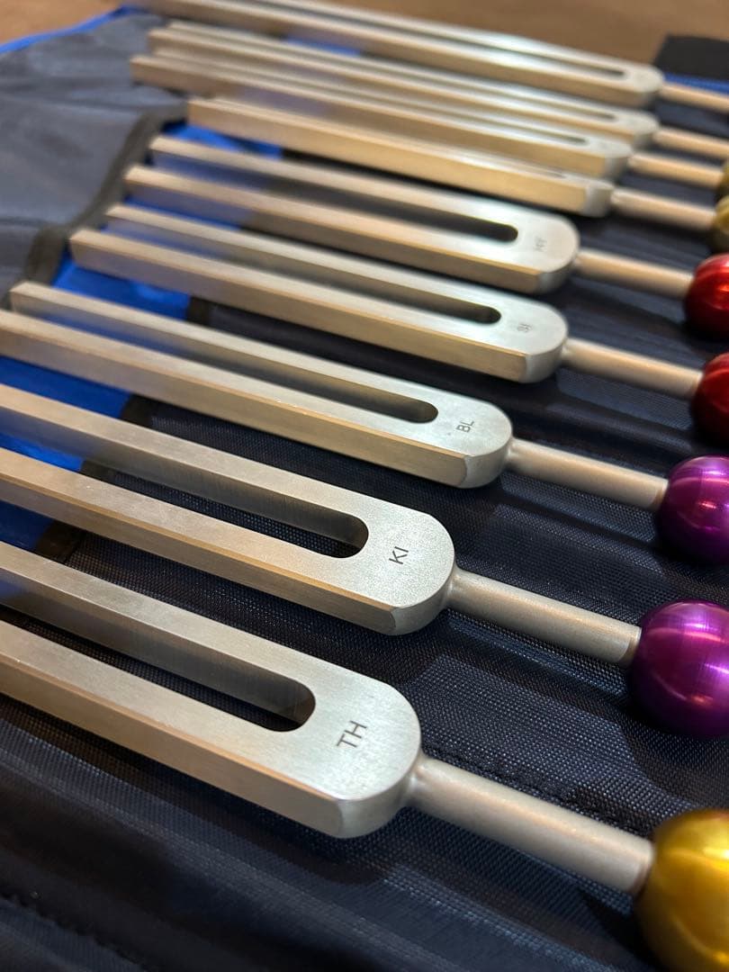 アラン・セールス　経絡音叉14本セット