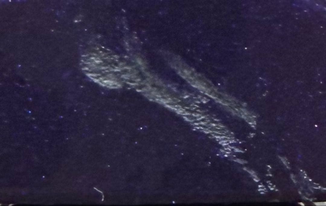 ヘアビューロン 27D Plus [ストレート]