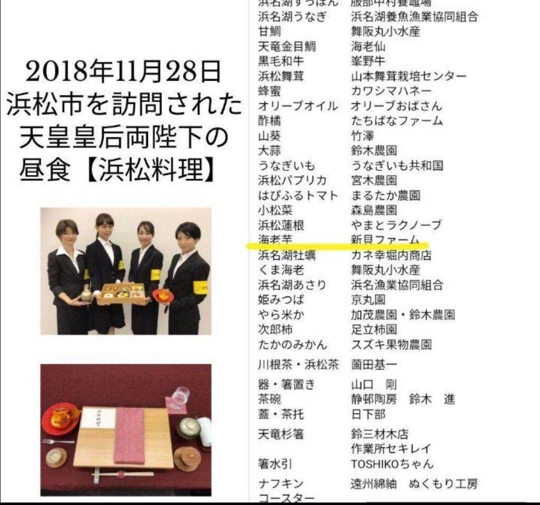 チャビおさま専用 磐田のこだわり海老芋 子芋 傷あり 無選別10kg 送料無料