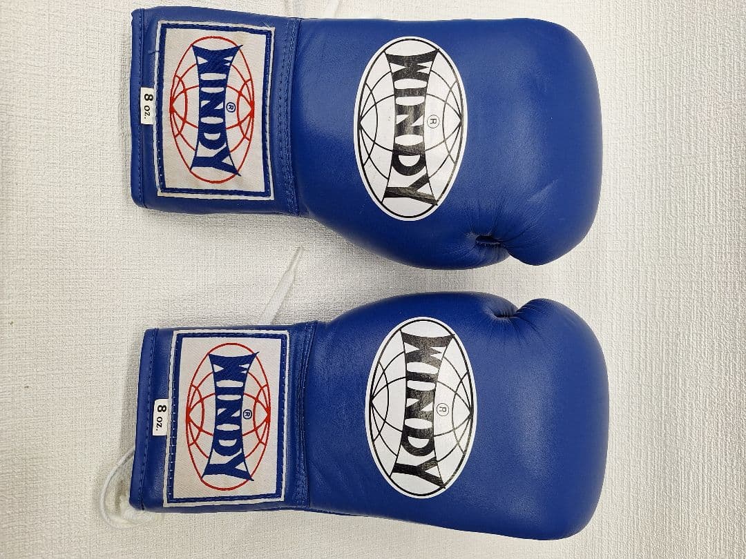 MAYDY ボクシンググローブ 8oz 青 紐タイプ