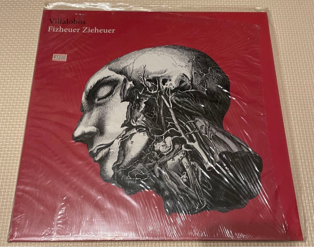 Villalobos Fizheuer Zieheuer レコード テクノ