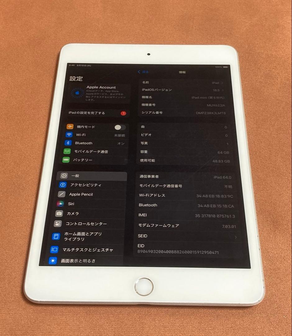 248【早い者勝ち】iPad mini5 第5世代 64GB SIMフリー☆
