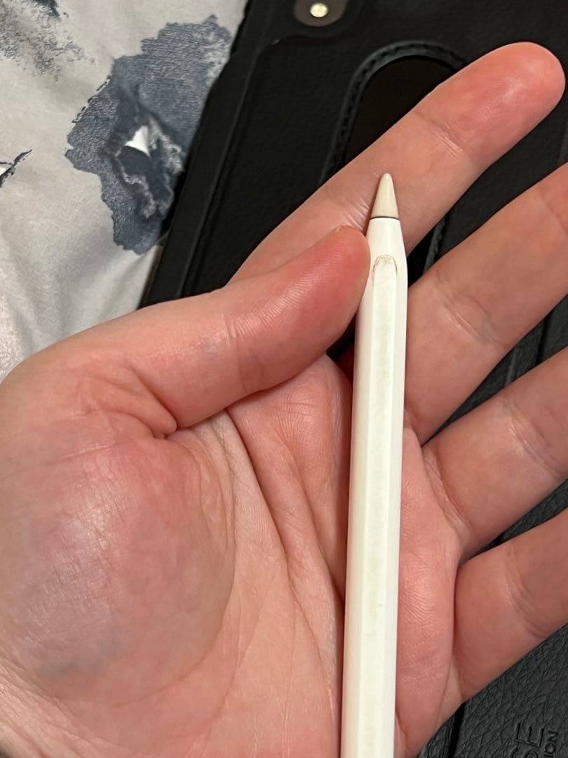 iPad Pro 11-inch (第1世代) 256GB Wi-Fi + 4G