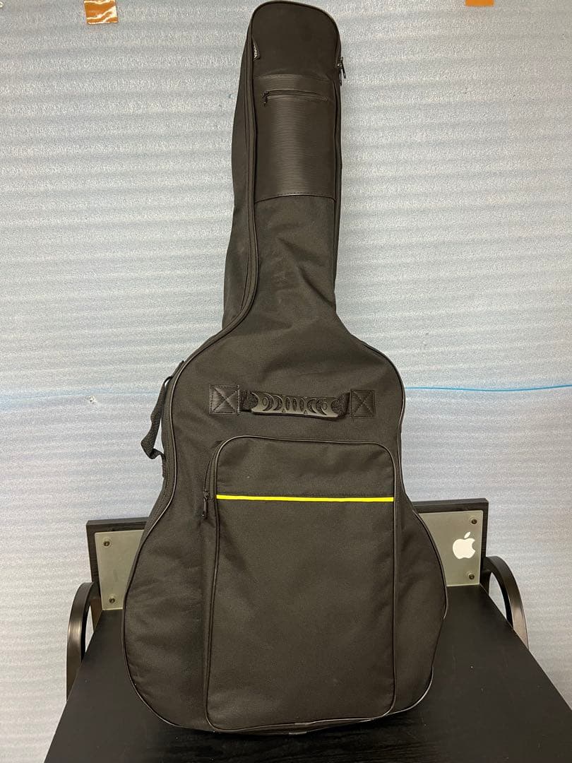 HISTORY　ヒストリー　アコースティックギター　HFG1TS