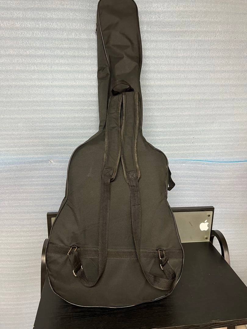 HISTORY　ヒストリー　アコースティックギター　HFG1TS