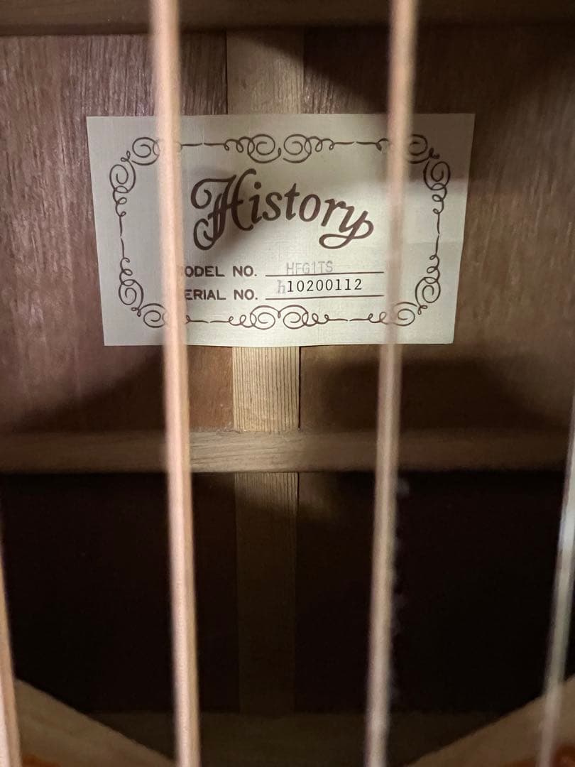HISTORY　ヒストリー　アコースティックギター　HFG1TS