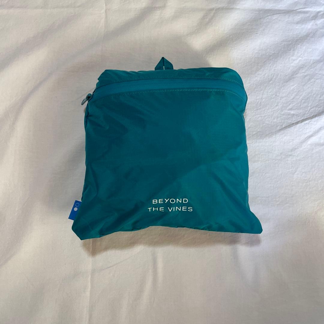 BEYOND THE VINES parapack 002 リュック
