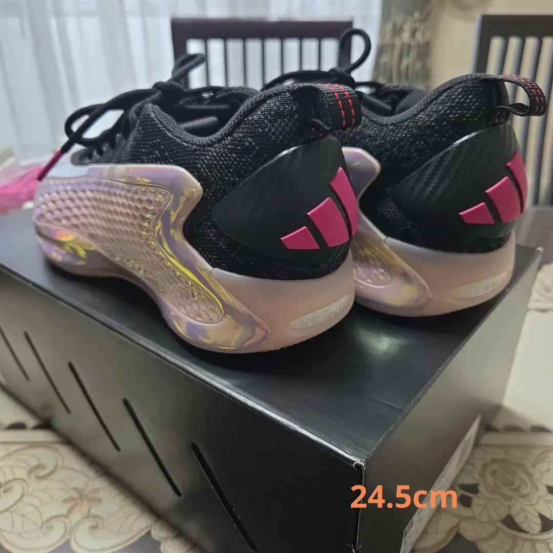 アンソニー・エドワーズ 1 ロー 24.5cm