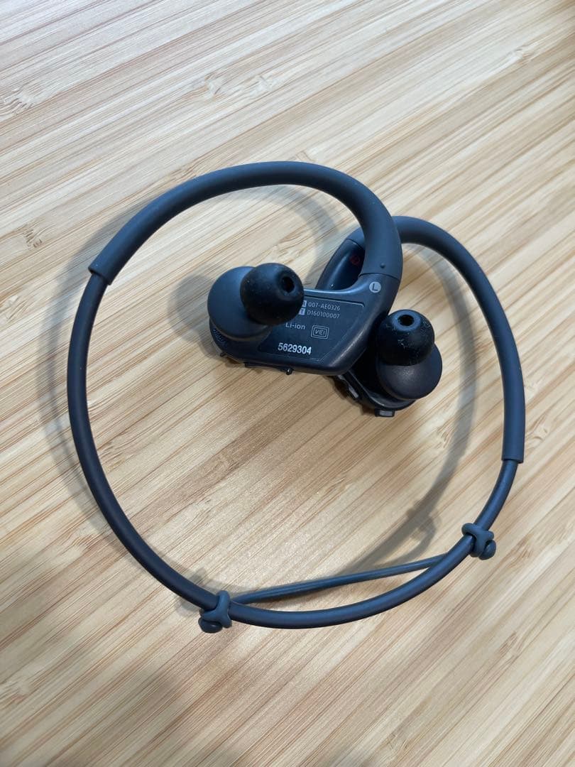 ソニー ヘッドホン一体型ウォークマン Wシリーズ NW-WS623 : 4GB