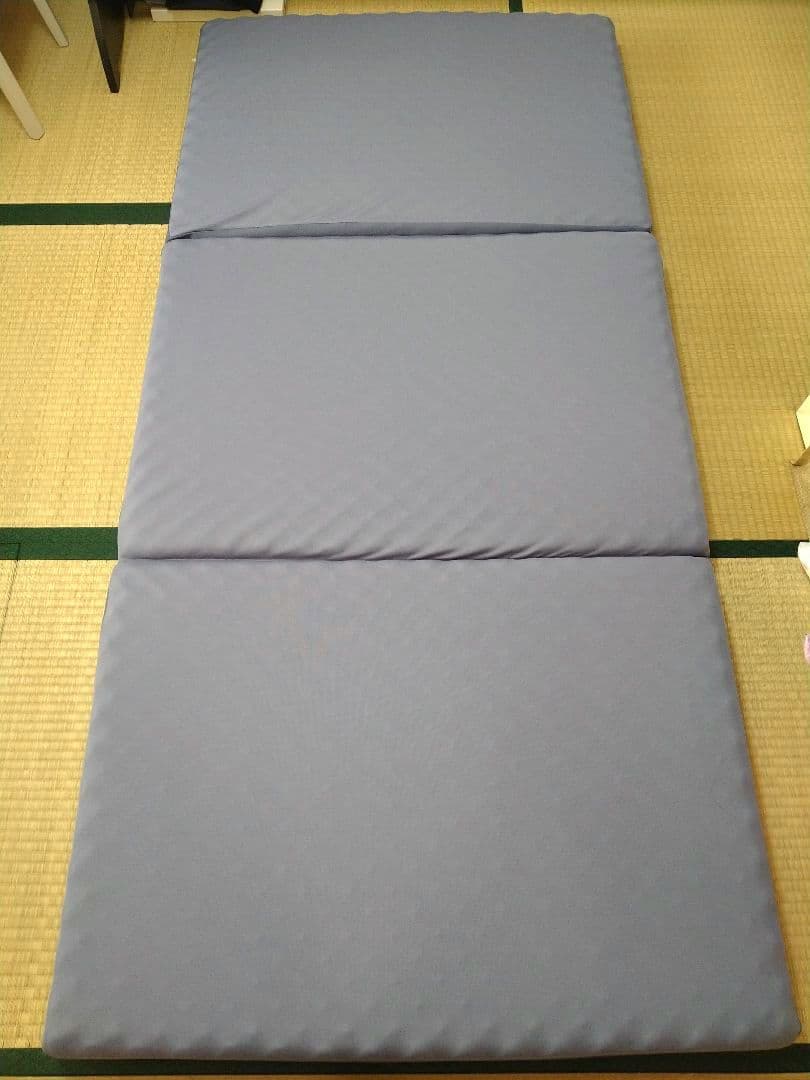 【いおり】ムアツ布団 2フォーム 110NT