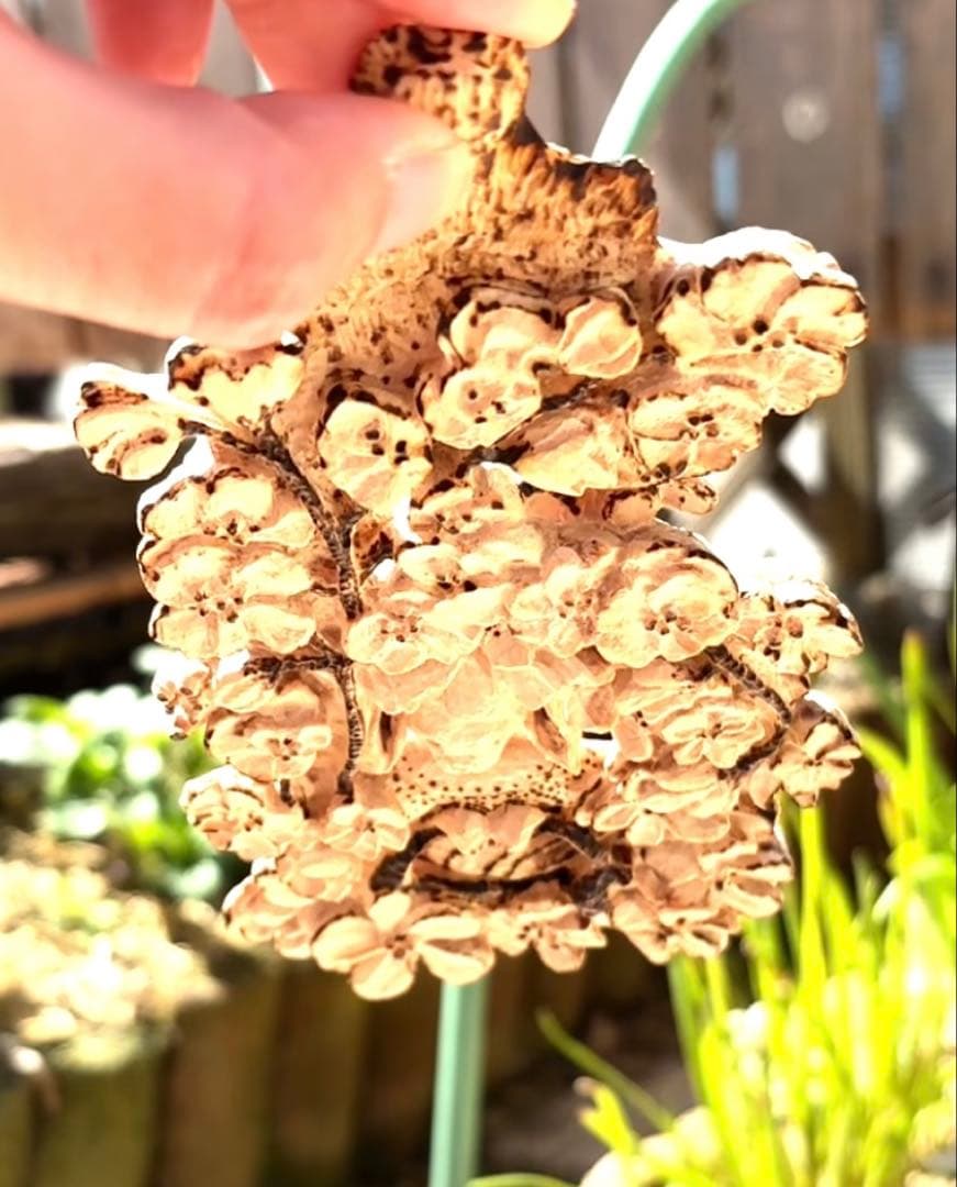 木彫りの、花とウサギさん