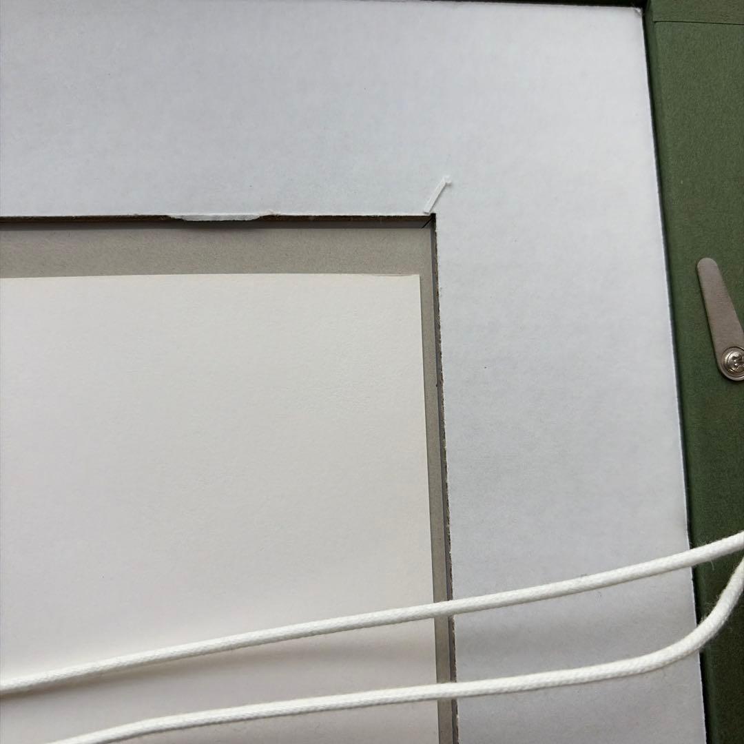 林原めぐみ直筆サイン色紙　エヴァンゲリオン綾波レイイラスト(額縁付き)