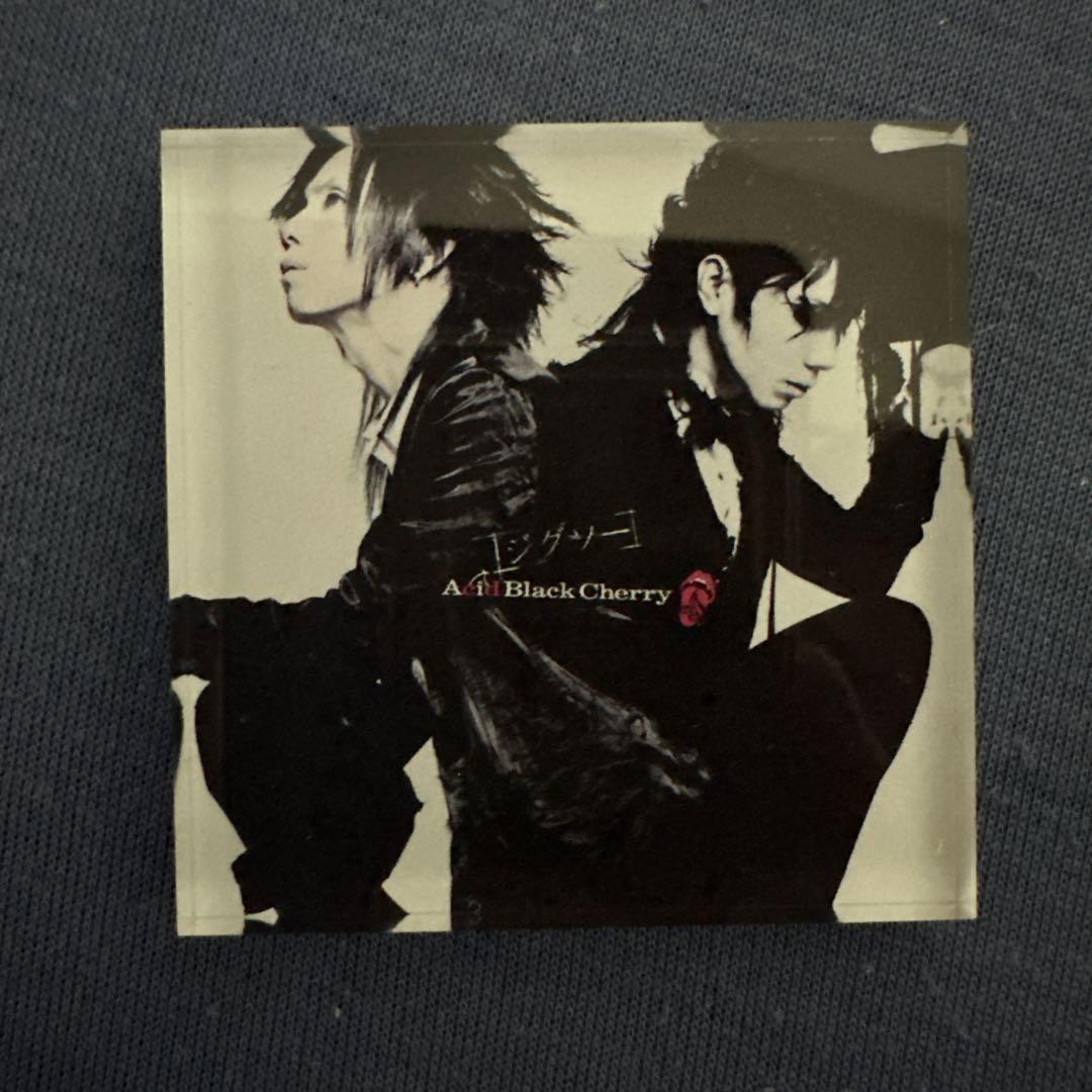 Acid Black Cherry アクリルマグネット 別ジャケット